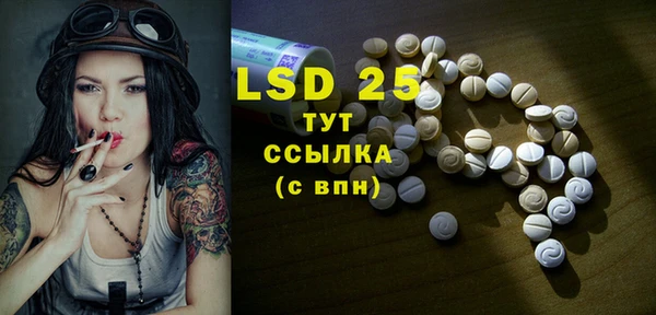 PSILOCYBIN Армянск