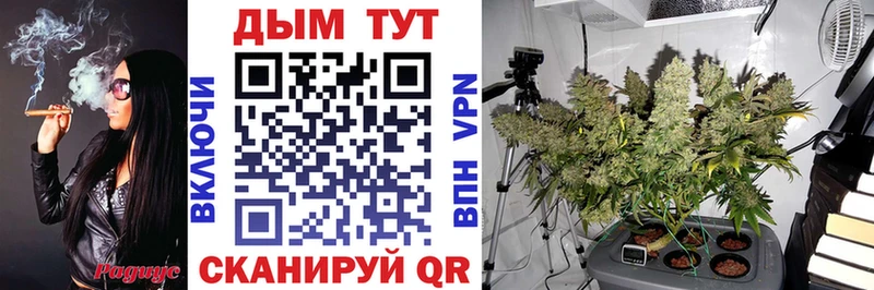 darknet телеграм  даркнет сайт  Тырныауз  Конопля MAZAR 